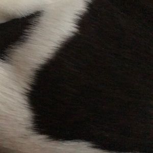 Meet your Posher, Theresa